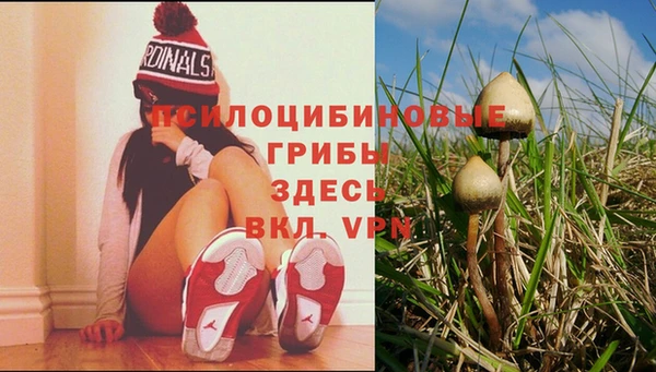 круглые Алексин