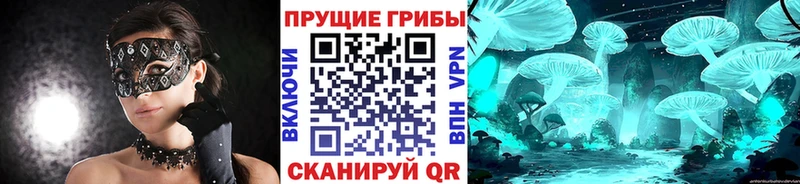 мега tor  купить  сайты  Раменское  Псилоцибиновые грибы ЛСД 